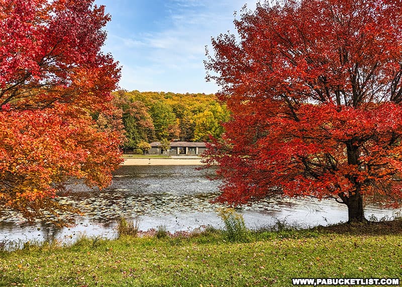 Vibrant red foliage across from the beach at Black Moshannon State Park in Centre County Pennsylvania.