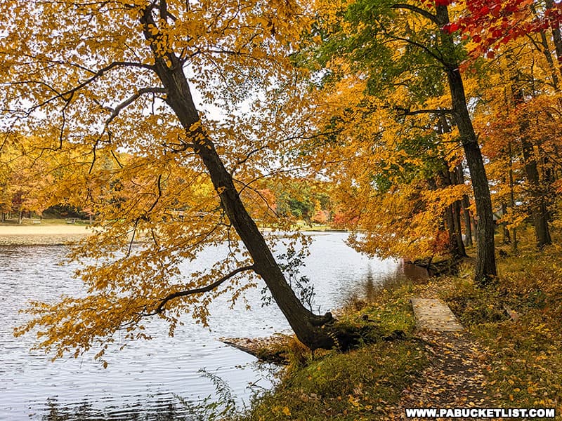 Fall foliage views at Black Moshannon State Park in Centre County Pennsylvania.
