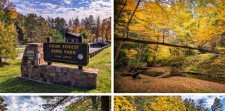 Clarion County Pennsylvania 2022 Fall Foliage Update