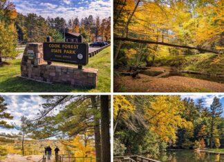 Clarion County Pennsylvania 2022 Fall Foliage Update