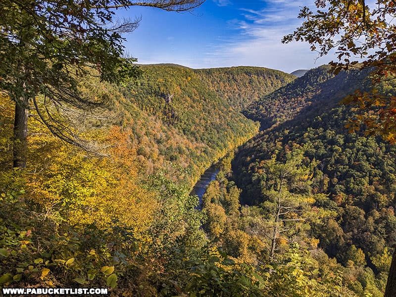Fall foliage views from the PA Grand Canyon on October 6 2022.