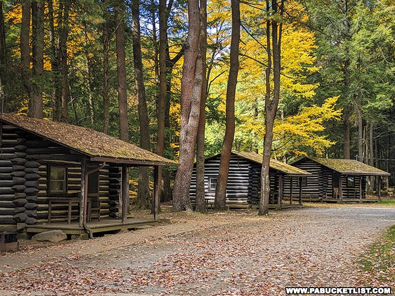 Rental cabins at Cook Forest State Park surrounded by fall foliage in October 2022.