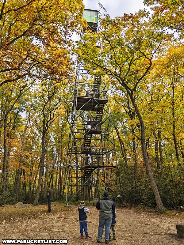 Fire Tower Number 9 at Seneca Point overlooking the fall foliage in Clarion County.
