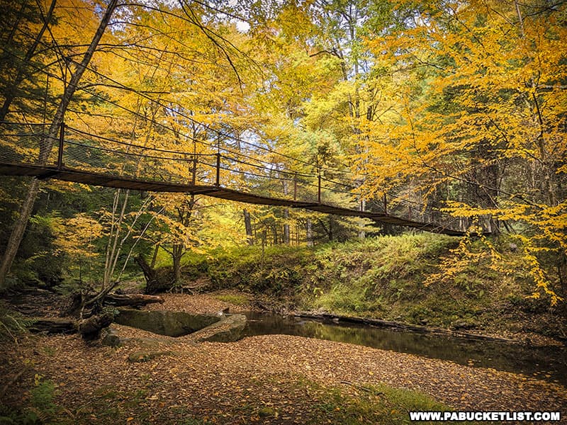 The suspension bridge over Tom's Run at Cook Forest State Park is suspended in the midst of golden Clarion County fall foliage.