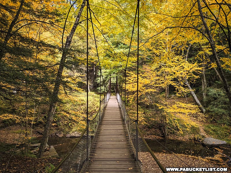 The swinging bridge at Cooks Forest State Park in Clarion County is surrounded by exceptional fall foliage.