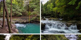 Exploring Big Falls on Stony Fork | PA's Most Famous Swimming Hole