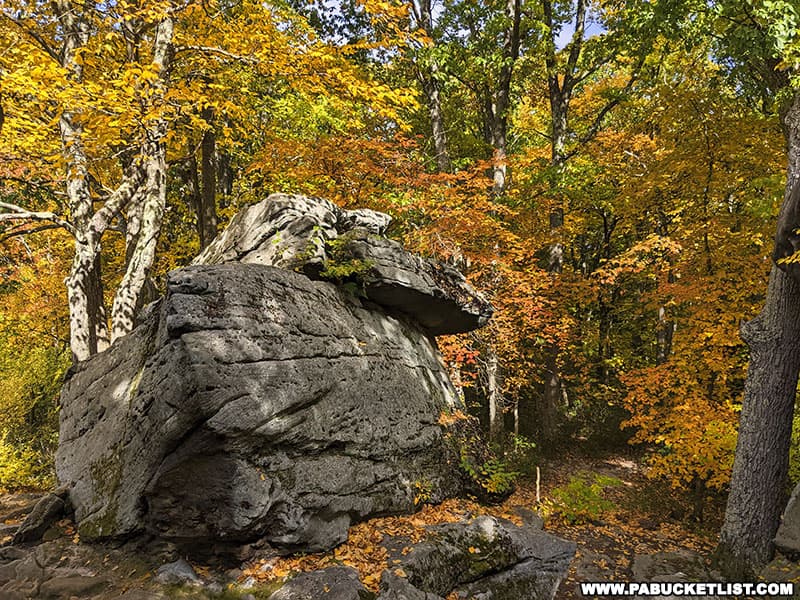 One of the many enormous rocks along the trails at Beartown Rocks in Jefferson County Pennsylvania.