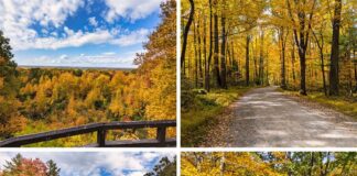 Where to find the best fall foliage views in Jefferson County Pennsylvania.