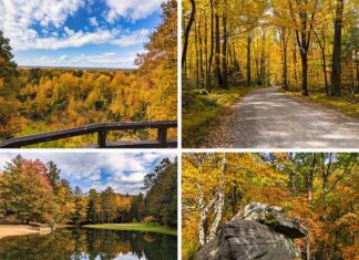 Where to find the best fall foliage views in Jefferson County Pennsylvania.
