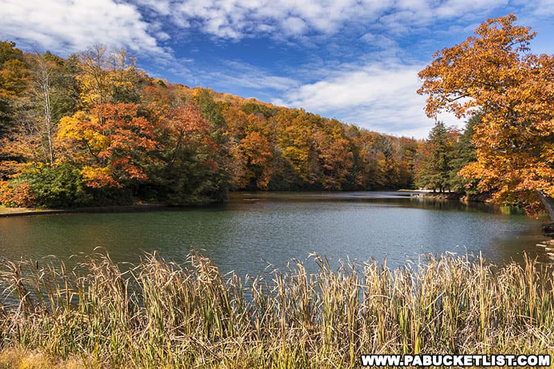 Fall foliage views at Kooser State Park in Somerset County on October 16, 2022.