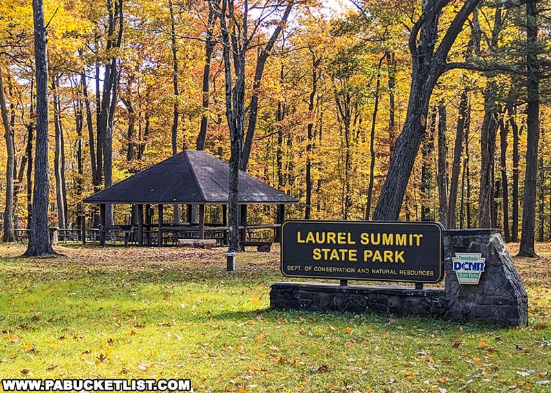 Fall foliage at Laurel Summit State Park on October 16, 2022.