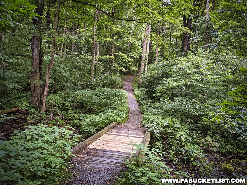 Trail leading to the Lost Children of the Alleghenies Monument in Blair County Pennsylvania.