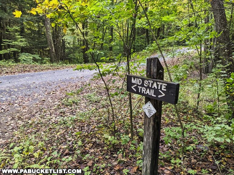 Exploring the Big Falls Swimming Hole in Tioga County