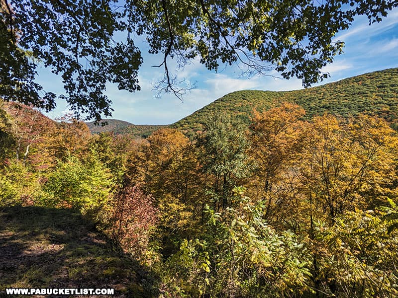 Fall foliage views from Castle Vista at Ole Bull State Park in Potter County Pennsylvania.