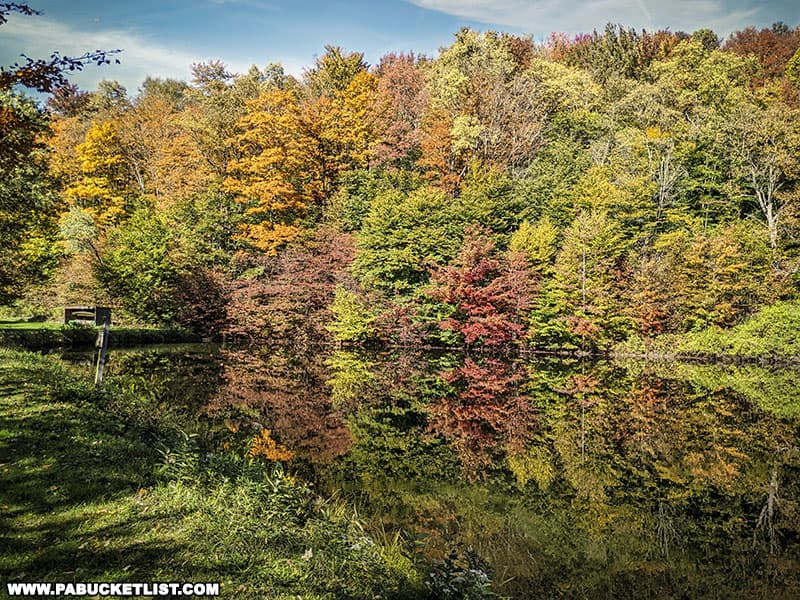 Fall foliage around the mill pond at he Pennsylvania Lumber Museum.