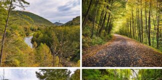Pine Creek Rail Trail 2022 Fall Foliage Update.
