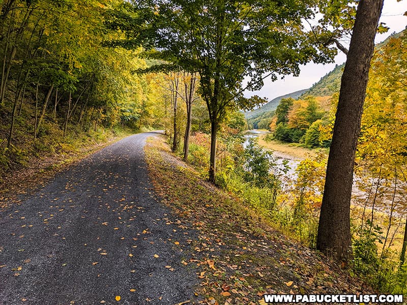 Fall foliage on October 3 2022 along the Pine Creek Rail Trail in Tioga County PA.