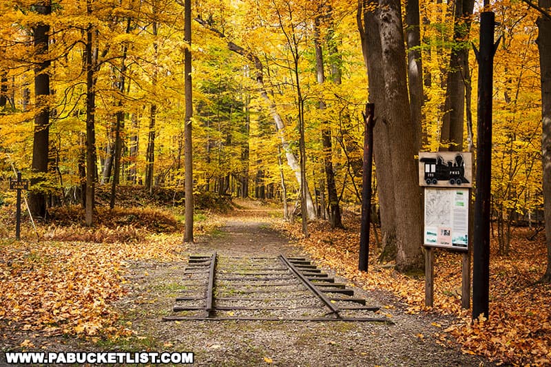 Fall foliage around the Pittsburgh, Westmoreland, and Somerset Railroad display at Linn Run State Park on October 16, 2022.