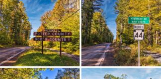 2022 Potter County Pennsylvania Fall Foliage Update.