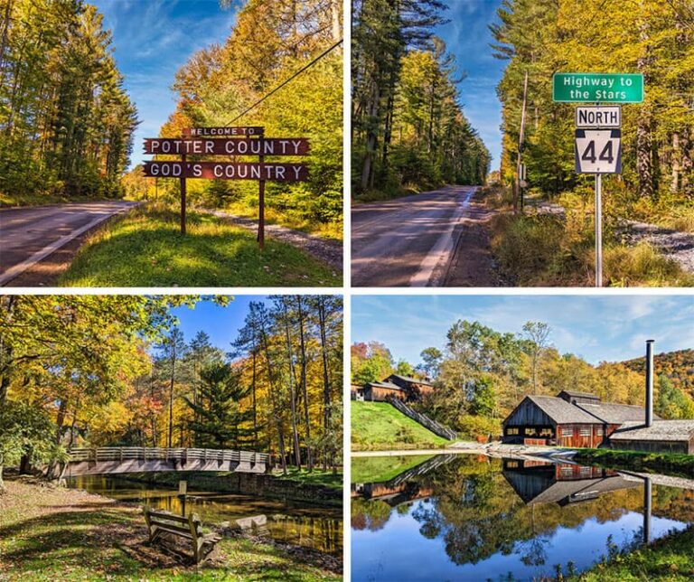 Potter County 2022 Fall Foliage Update