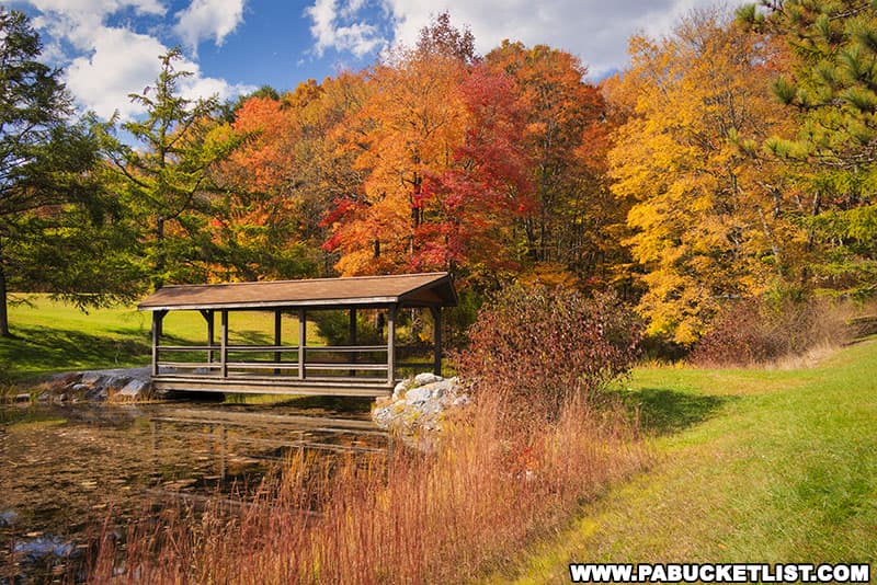 Fall foliage around Pickerel Pond at Prince Gallitzin State Park in Cambria County Pennsylvania.