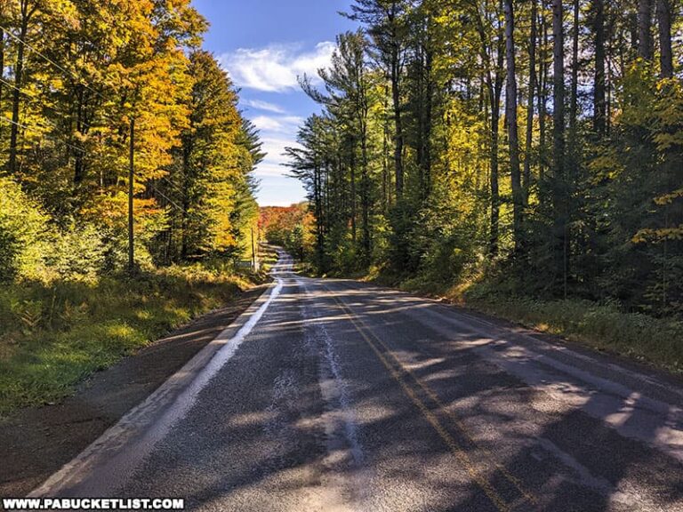 Potter County 2022 Fall Foliage Update