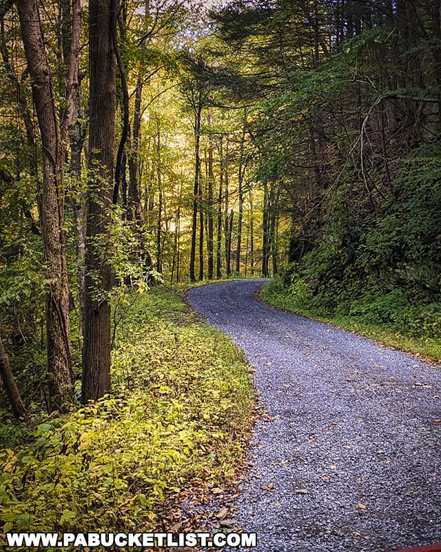 Montour Road in the Elk State Forest leads to the parking area for the Sinnemahoning Canyon Vista hike.