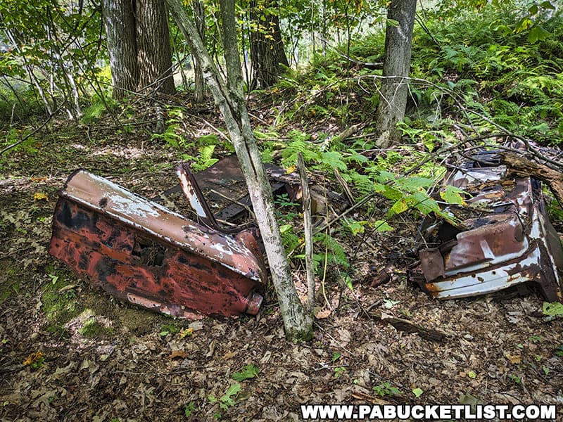 A long-abandoned car at the end of the old forest road leading to Sinnemahoning Canyon Vista in Cameron County Pennsylvania.