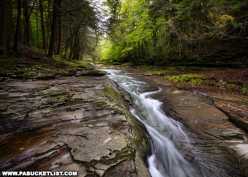 Stony Fork just above the Big Falls swimming hole in Tioga County Pennsylvania.