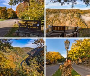 Tioga County Pennsylvania 2022 Fall Foliage Update.