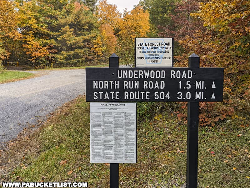 Underwood Road in the Moshannon State Forest.