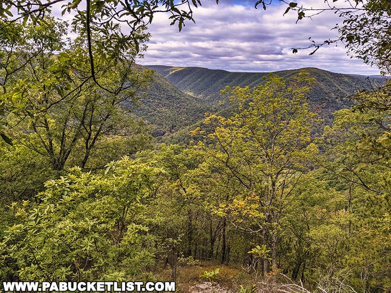 View to the southwest from Upper Jerry Run Vista in the Bucktail State Park Natural area.