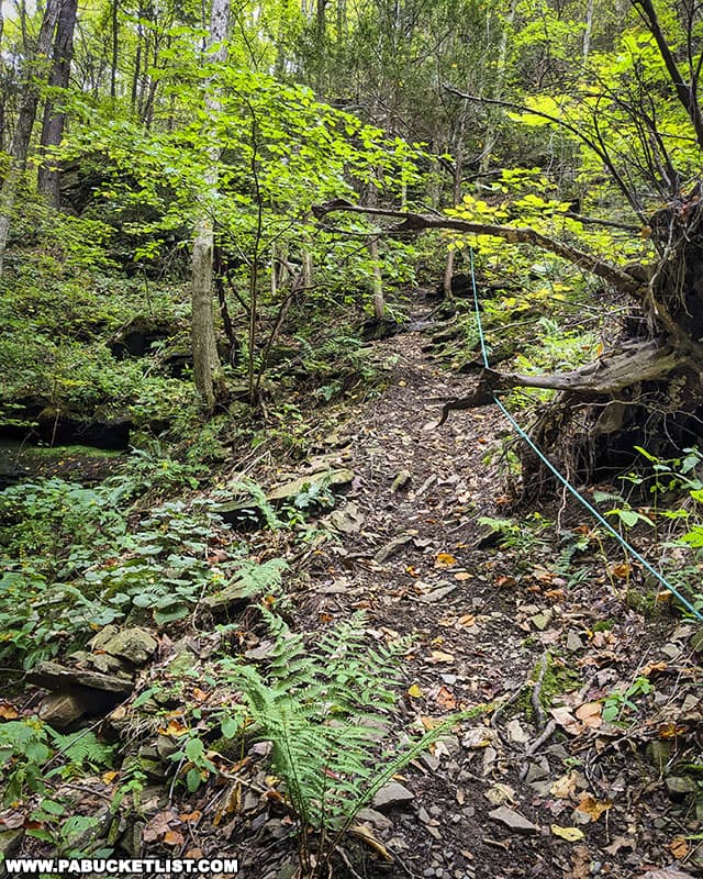 Trail to Upper Water Tank Hollow Falls in Tioga County Pennsylvania.