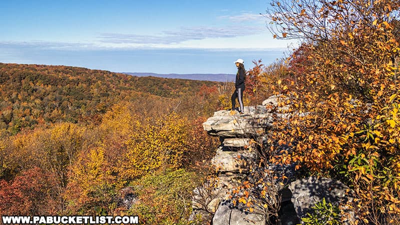 Fall foliage views from Wolf Rocks Overlook in the Forbes State Forest on October 16, 2022.