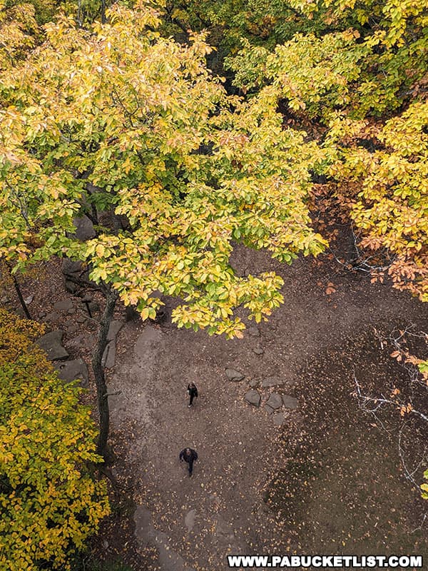 Looking straight down from Fire Tower Number 9 at Cook Forest State Park.