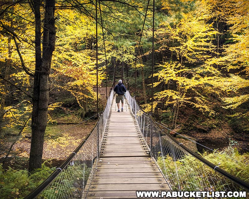 A hiker crossing the suspension bridge at Cook Forest State Park.
