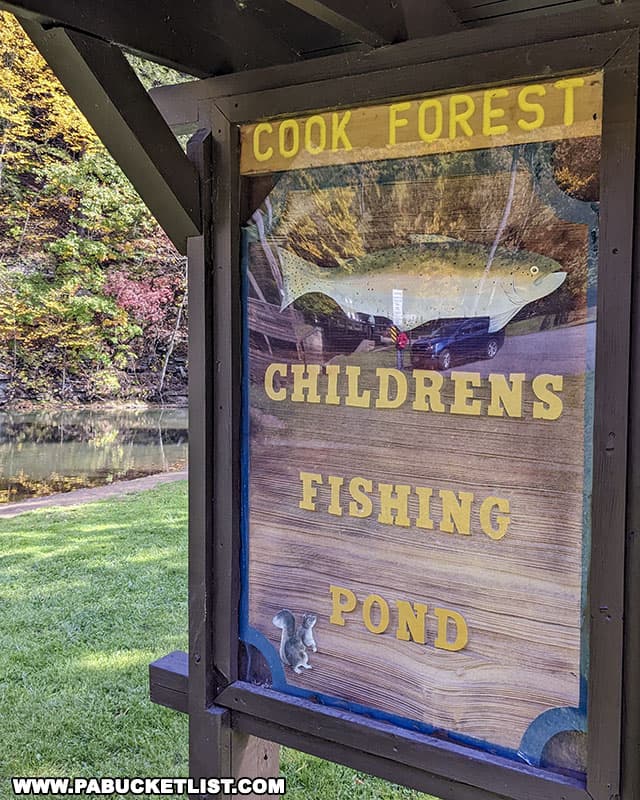 The Children's Fishing Pond at Cook Forest State Park is stoked with trout.