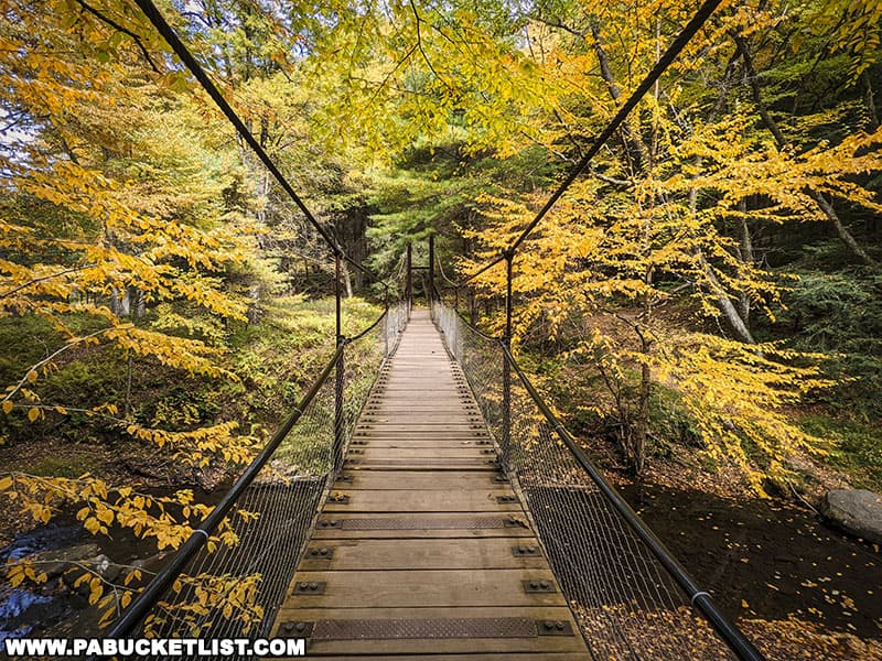 The swinging bridge at Cook Forest State Park is just a short walk from the park office along Route 36.