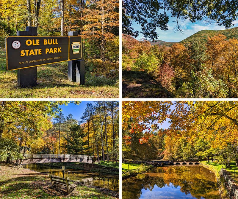 Exploring Ole Bull State Park in Potter County