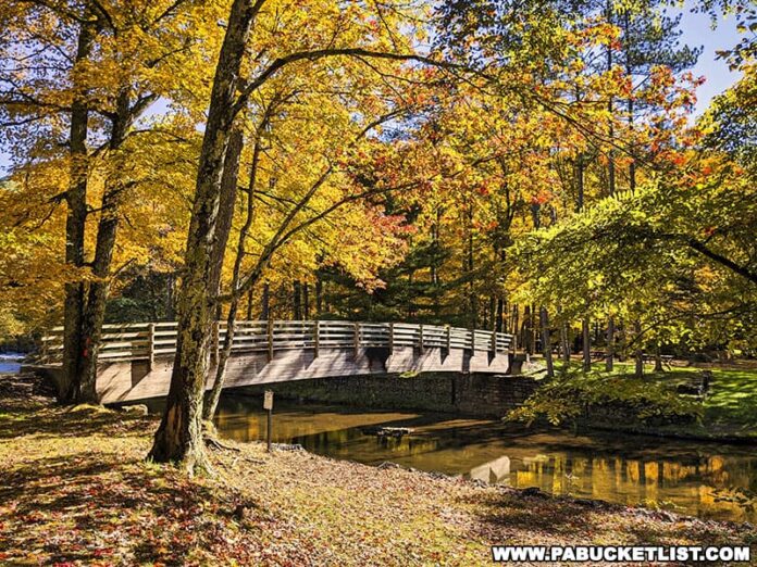 Exploring Ole Bull State Park in Potter County PA Bucket List