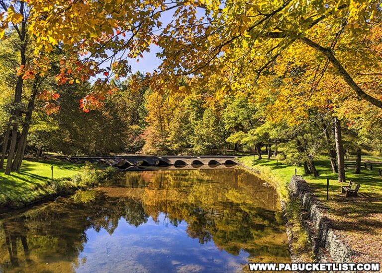 Exploring Ole Bull State Park in Potter County PA Bucket List