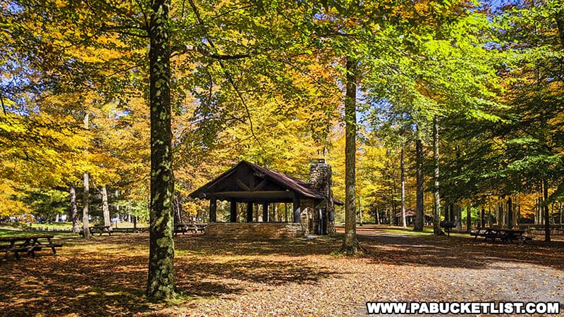 The picnic area at Ole Bull State Park at the peak of fall foliage season.