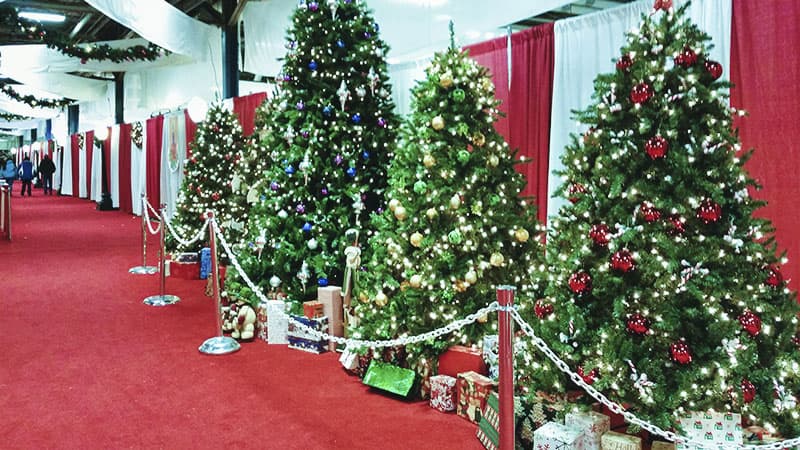 Christmas Tree Lane is filled with trees decorated by show vendors.