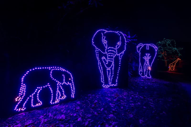The Pittsburgh Zoo Lights is a drive thru Christmas lights display at the zoo.
