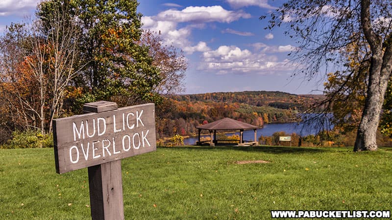 Mud Lick Overlook offers a view of Mud Lick Cove at Prince Gallitzin State Park.