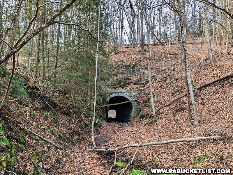 The eastern portal of the abandoned Coburn railroad tunnel has a brick finish.