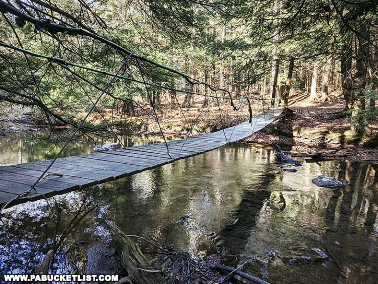 Hiking to the Clear Shade Creek Swinging Bridge
