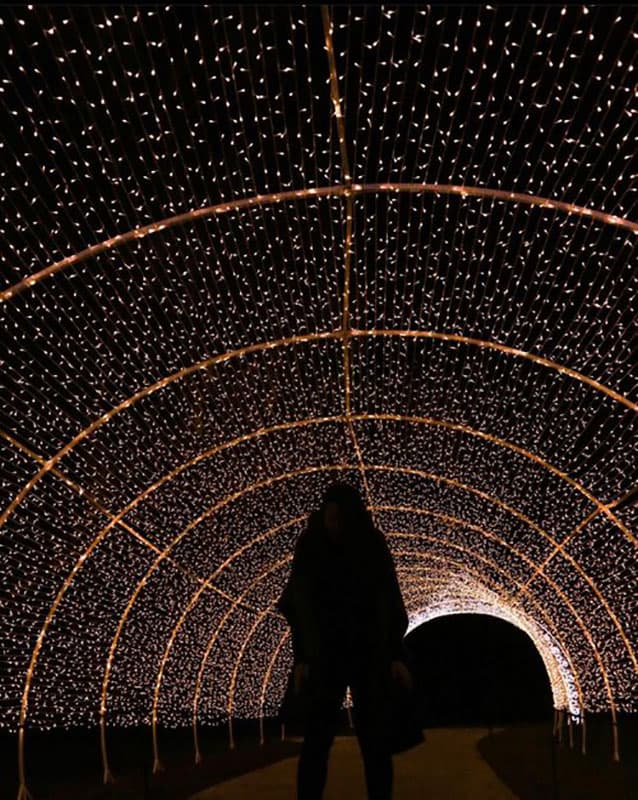 Dazzling Nights walk-thru holiday light display at Pittsburgh Botanic Garden.