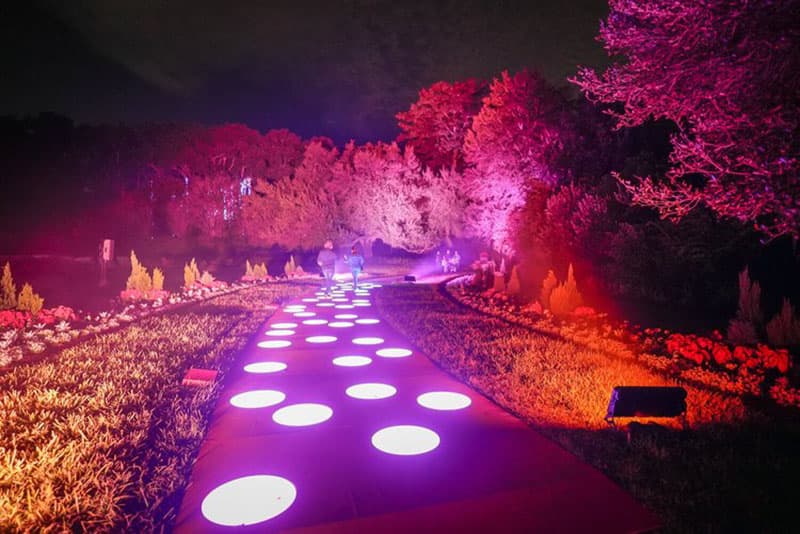 Interactive lights at the Dazzling Nights walk-thru holiday light display at Pittsburgh Botanic Garden.