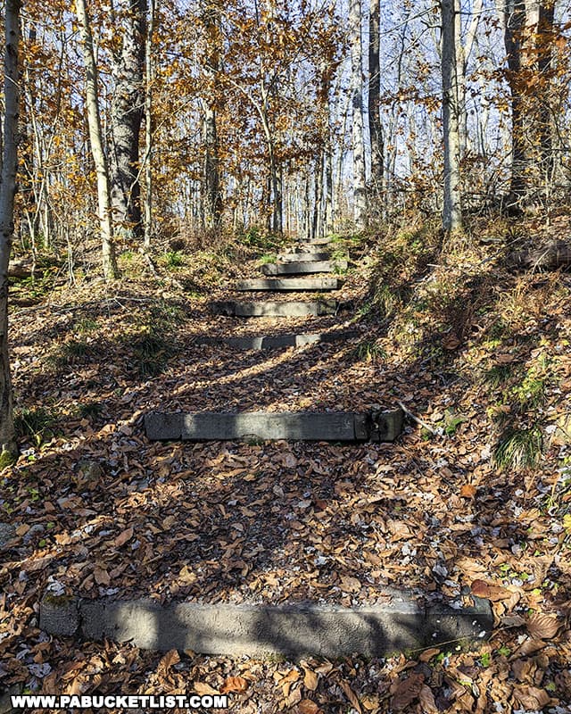 The steps portion of the Fishermans Path in the Gallitzin State Forest.